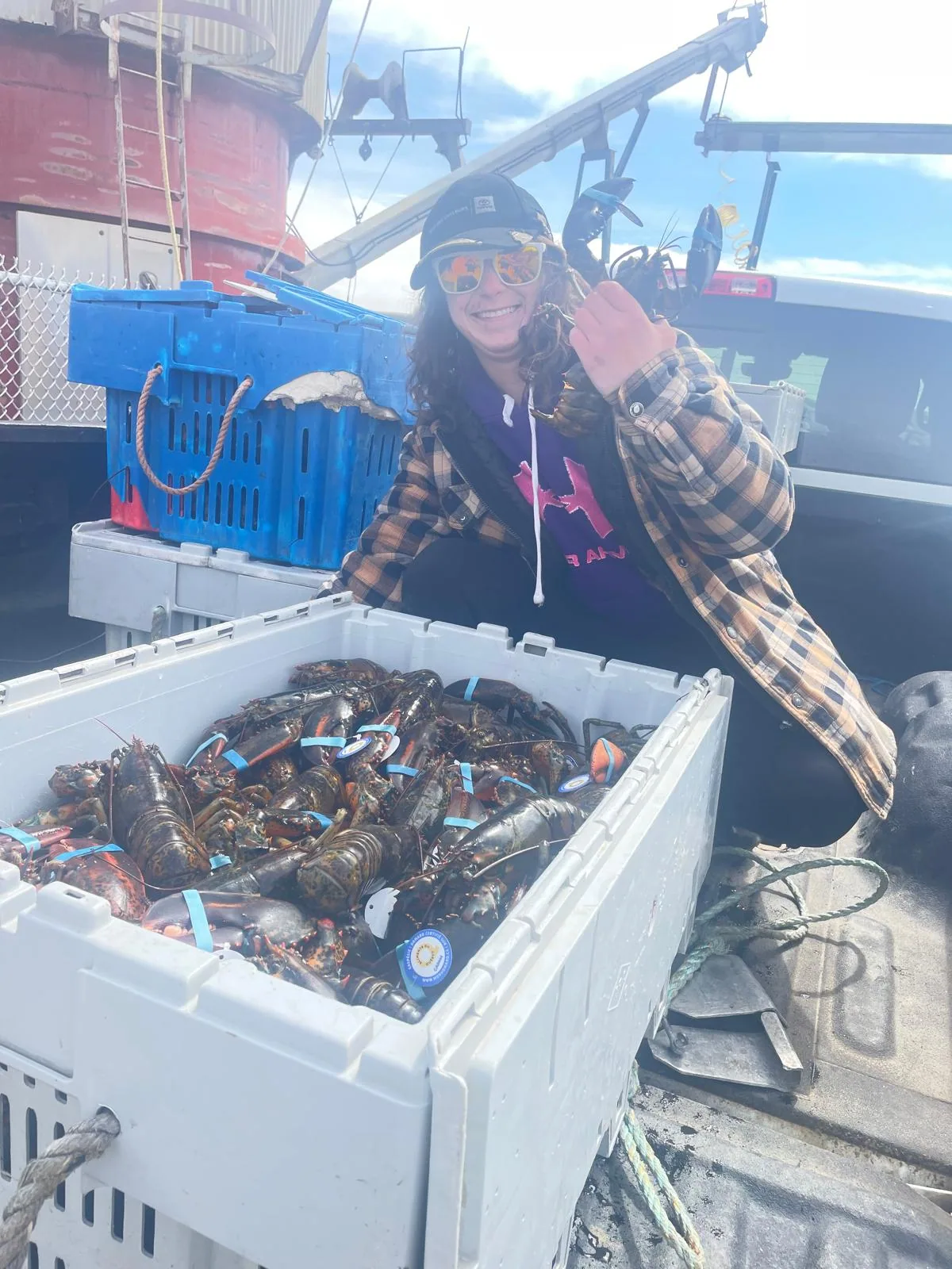 Haul check – Examination of a crate of lively lobsters during a dock-side quality inspection.